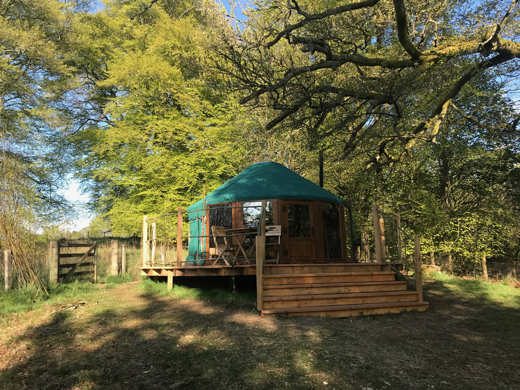 Elder Yurt