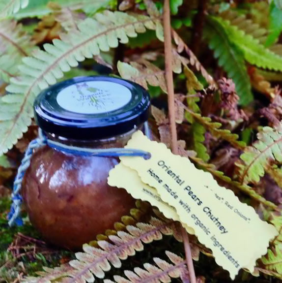 Oriental Pears Chutney (200g)