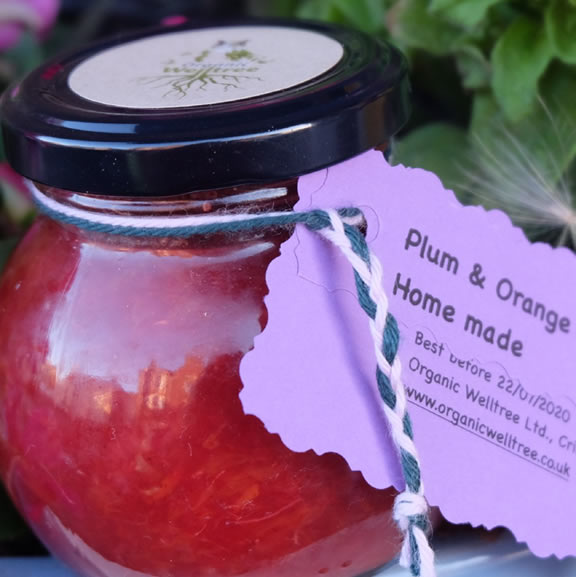 Plum and Orange Chutney (200g)